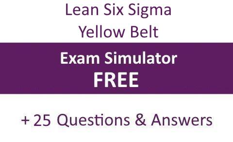 Yellow Belt LSSYB | EN Sample