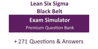 LSS Black Belt | Mock Exam